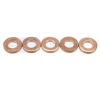 DELPHI 9001-850D Heat Shield, injection system