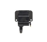 Fits DELPHI GN10171-12B1 Ignition Coil GN10171-12B1 Ignition coil fit ⭐UK Stock⭐