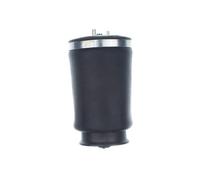 Fits DENCKERMANN AMORTYZATORY DSA128G AIR SPRING SUSPENSION REAR LEFT