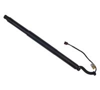 Fits DENCKERMANN ELEKTRONIKA CEWKI CZUJNIKI G100147 TAILGATE ACTUATOR LH/RH 575