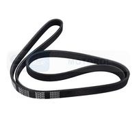 Fits DENCKERMANN PASKI 5PK1370 V-RIBBED BELT