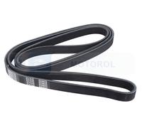 Fits DENCKERMANN PASKI 6PK2170 V-RIBBED BELT