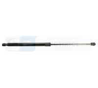 DENCKERMANN G110494 Tailgate strut