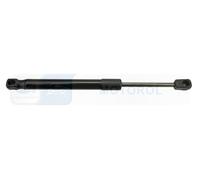 DENCKERMANN G110507 Tailgate strut