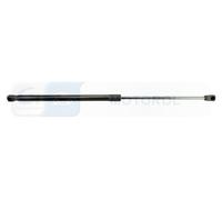 DENCKERMANN G110519 Tailgate strut