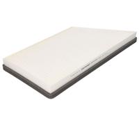 Denso DCF493P Interior Air Filter