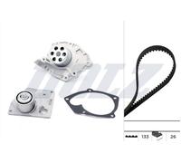 Fits DOLZ KD027 timing + pump NO SALE: DE FR IT GB/SCENIC LAGUNA ⭐UK Stock⭐
