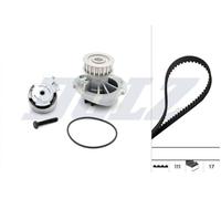 DOLZ KD024 Water pump and timing belt kit