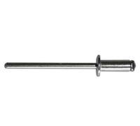 Dresselhaus 2951/000/99 5x18 Blind Rivet