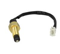 DT Spare Parts 1.13242 Switch, clutch control (cruise control) for ,SCANIA