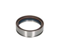 4x ✅Fits DT SPARE PARTS 1.14815 Shaft Seal, crankshaft 1.14815 Crank ⭐UK Seller⭐