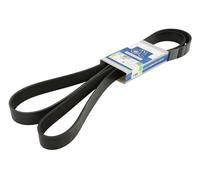 DT Spare Parts 1.21869 V-Ribbed Belt