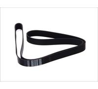 Fits DT SPARE PARTS 2.15557 V-ribbed Belt 2.15557 Multi-V-belt (10PK2 ⭐UK Stock⭐