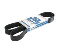 Fits DT SPARE PARTS 4.80752 V-ribbed Belt 4.80752 Multi-V-belt (8PK1390) fits:
