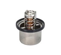 Coolant Thermostat 5.41096 Diesel Technic 1953171 2124041 Top Quality Guaranteed