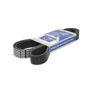 DT Spare Parts 5.41539 Serpentine belt