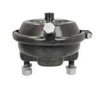 Fits DT SPARE PARTS 6.64002 Pretensioning Cylinder 6.64002 Brake serv ⭐UK Stock⭐
