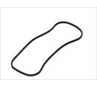 2x New Seal, tappet chamber cover 20591544
