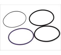Cylinder Sleeve O-Ring Set Replacement Fits VOLVO RENAULT TRUCKS ELRING 755.672