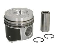 Fits ENGITECH ENT050906 STD Piston ENT050906 STD Piston 80 (STD) fits ⭐UK Stock⭐