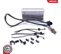 Fits ESEN SKV 09SKV423 lambda sensor 1K0998262L, AUDI PORSCHE SEAT SK ⭐UK Stock⭐