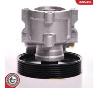 Power steering pump hydraulic with belt pulley 10SKV013 ESEN SKV for PEUGEOT