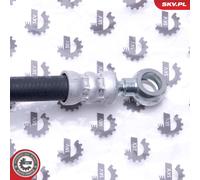 Fits ESEN SKV 10SKV808 Cable steering wheel VAG AUDI A3/SEAT LEON/TOLEDO II/SK