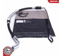 ESEN SKV 10SKV973 Power steering hose