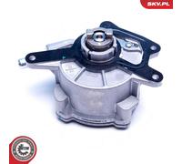 ESEN SKV 18SKV052 Brake vacuum pump
