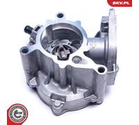 ESEN SKV 18SKV060 Brake vacuum pump