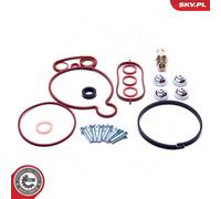 Fits SKV GERMANY 18SKV805 VACUUM PUMP REPAIR KIT 18SKV805