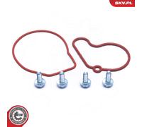 ESEN SKV 18SKV807 Repair Kit, vacuum pump (brake system)
