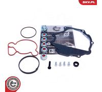 ESEN SKV 18SKV809 Repair Kit, vacuum pump (brake system)