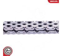 Fits ESEN SKV 21SKV153 VAG timing chain kit, 1.2 TFSI TSI (CBZA/B) en ⭐UK Stock⭐