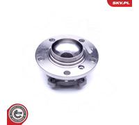 ESEN SKV 29SKV250 Wheel bearing kit