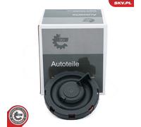 Fits ESEN SKV 31SKV260 odma valve BMW 3 4 5 6 7 X4 X5 X6