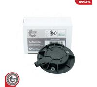 ESEN SKV 39SKV900 Central Magnet, camshaft adjustment