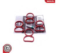 Repair Kit, intake manifold module 49SKV513 ESEN SKV for BMW 3 X3 1 Coupe 1 5 X1