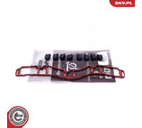 Repair Kit, intake manifold module 49SKV514 ESEN SKV for VW SEAT SKODA AUDI