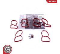 Fits ESEN SKV 49SKV516 zest. e.g. Collector E90 E91 E92 E93 F07 GT F1 ⭐UK Stock⭐