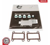 Repair Kit, intake manifold module 49SKV525 ESEN SKV for OPEL FIAT ALFA ROMEO