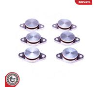 Repair Kit, intake manifold module 49SKV542 ESEN SKV for BMW 7 5 5 Touring X3 X5