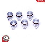 Repair Kit, intake manifold module 49SKV545 ESEN SKV for BMW 7 5 Touring X5 3 5