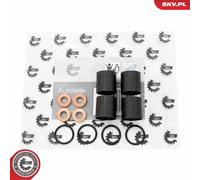 ESEN SKV 53SKV186 Repair Kit, injection nozzle