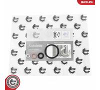 ESEN SKV 53SKV192 Repair Kit, injector holder