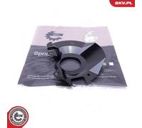 ESEN SKV 57SKV201 Splash Panel, brake disc