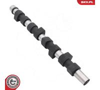 Fits ESEN SKV 80SKV028 camshaft ALFA ROMEO FIAT OPEL SSAB, 46772393