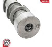 Fits ESEN SKV 80SKV046 camshaft FORD C-max Fiesta IV V Focus I II Fusion Puma V