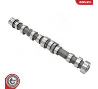 CAMSHAFT 80SKV067 FOR SUZUKI ALFA ROMEO PEUGEOT CITROËN NEMO/MPV/Box/Body/MPV