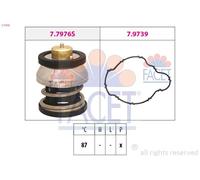 Fits FACET 7.7976 THERMOSTAT CARTRIDGE 87C